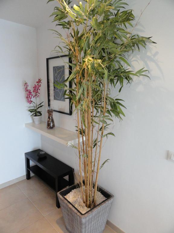 Apartment Poris Sunrises 波里斯-德阿沃纳 外观 照片
